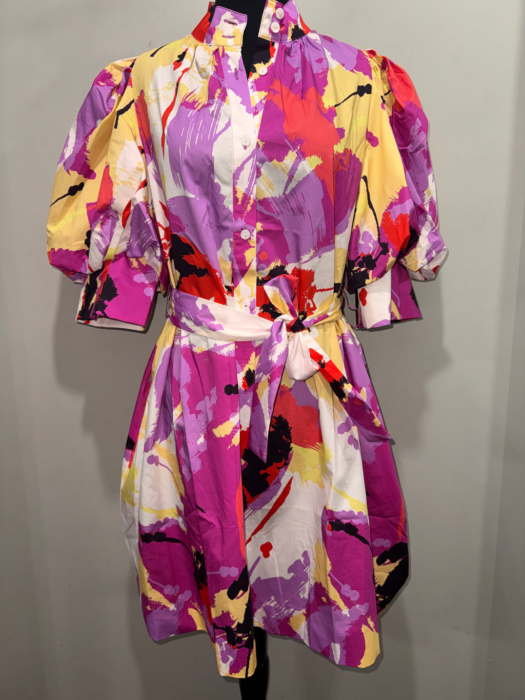 Lydia Paint Dress